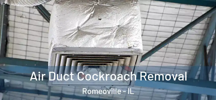 Air Duct Cockroach Removal Romeoville - IL