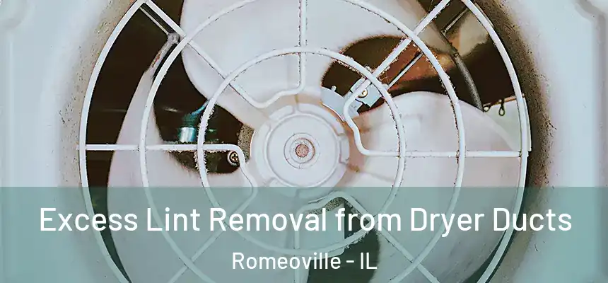 Excess Lint Removal from Dryer Ducts Romeoville - IL