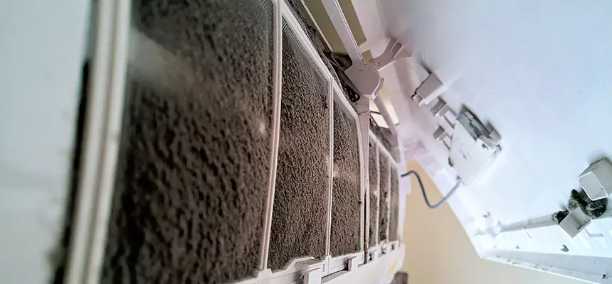 Preventive Air Duct Bacteria Removal in Romeoville