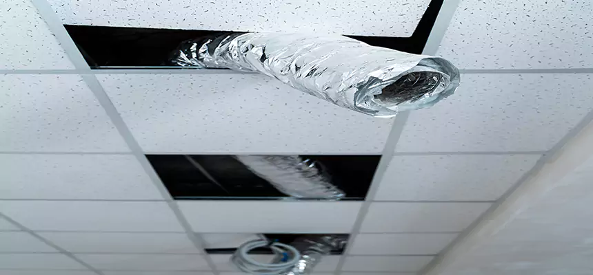 Our Air Duct Pet Hair Removal Services in Romeoville, IL