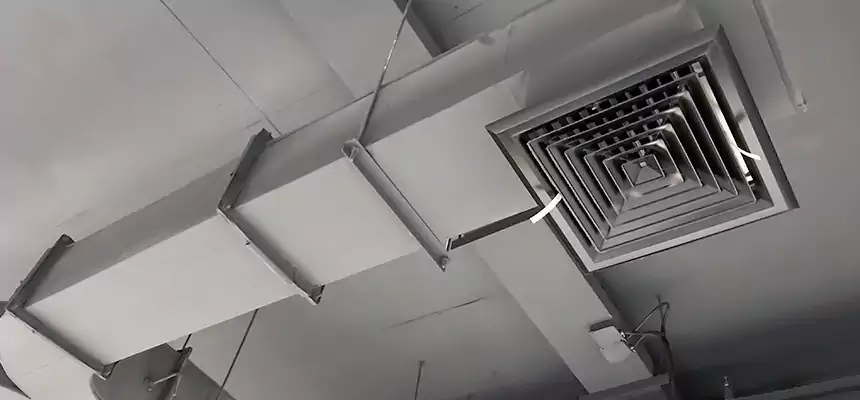 Restorative Allergy Relief Vent Cleaning – Coil, Blower & Housing Detail in Romeoville