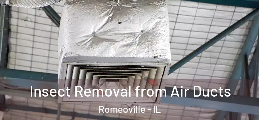  Insect Removal from Air Ducts Romeoville - IL