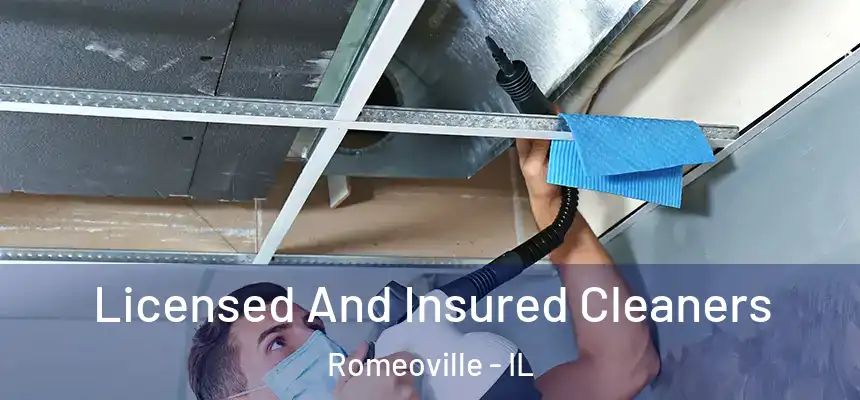 Licensed And Insured Cleaners Romeoville - IL