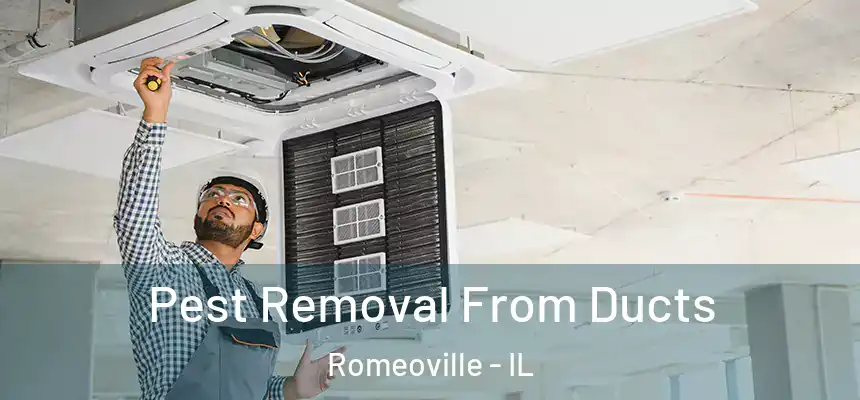  Pest Removal From Ducts Romeoville - IL