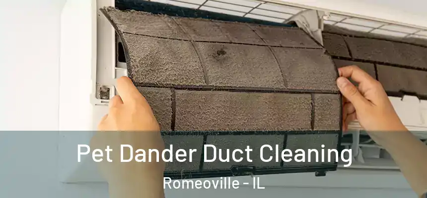  Pet Dander Duct Cleaning Romeoville - IL