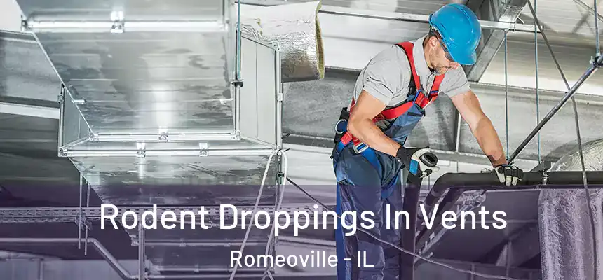  Rodent Droppings In Vents Romeoville - IL