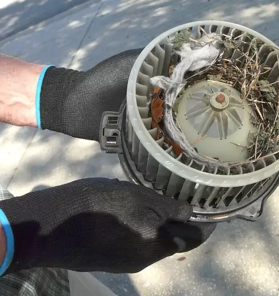 About Air Duct Mice Removal in Romeoville, IL