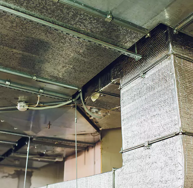 Why Homeowners & Businesses Trust Us in Romeoville, IL?